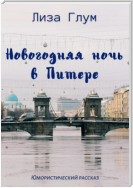 Новогодняя ночь в Питере