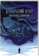 Декабрьский вечер