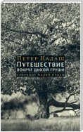 Путешествие вокруг дикой груши