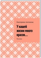 У нашей жизни много красок… Рассказы