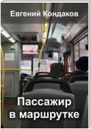 Пассажир в маршрутке