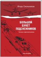 Большой букет подснежников