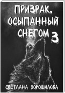 Призрак, осыпанный снегом 3