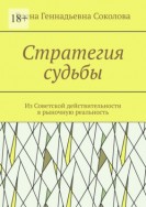 Стратегия судьбы. Из Советской действительности в рыночную реальность