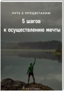 Путь к процветанию: пять шагов к осуществлению мечты