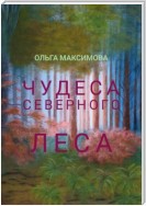 Чудеса северного леса