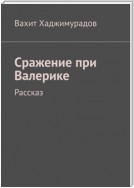 Сражение при Валерике. Рассказ