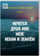 Мечется душа моя меж небом и землёю