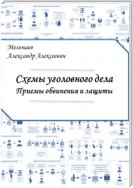 Схемы уголовного дела. Приёмы обвинения и защиты