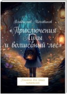 Приключения Луны и волшебный лес. Книжка для юных читателей