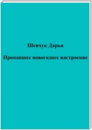 Пропавшее новогоднее настроение