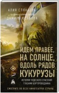 Идем правее, на солнце, вдоль рядов кукурузы. История чудесного спасения глазами бортпроводника