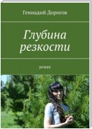 Глубина резкости. Роман