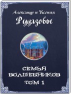 Семья волшебников. Том 1