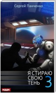 Я стираю свою тень. Книга 3