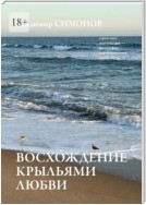 Восхождение крыльями любви. Серия книг поэтической философии миропонимания новой эпохи