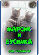 Марсик и Бусинка