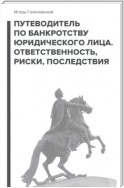 Путеводитель по банкротству юридического лица. Ответственность, риски, последствия