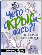 Чего окрысилась?! Как понимать своего питомца