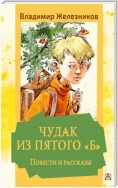 Чудак из пятого «Б». Повести и рассказы