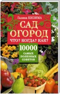 Сад и огород. Что? Когда? Как? 10000 самых полезных советов