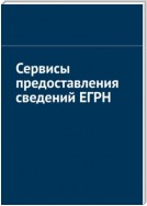 Сервисы предоставления сведений ЕГРН