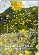 Прямоугольная круглость. Серия книг поэтической философии миропонимания новой эпохи