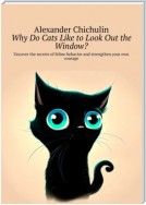 Why do cats like to look out the window? Uncover the secrets of feline behavior and strengthen your own courage