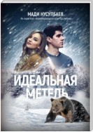 Идеальная метель