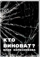 Кто виноват?