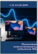 Налоговая ответственность субъектов МБ