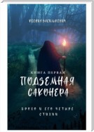 Брохо и его четыре стихии. Подземная Саконера. Книга первая