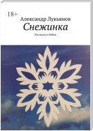 Снежинка. Рассказы и байки