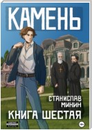 Камень. Книга шестая