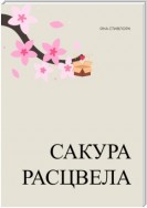 Сакура расцвела