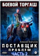 Поставщик проблем. Книга 2