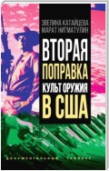 Вторая поправка. Культ оружия в США