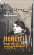 Пепел над пропастью. Феномен Концентрационного мира нацистской Германии и его отражение в социокультурном пространстве Европы середины – второй половины ХХ столетия