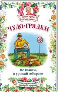 Чудо-грядки: не копаем, а урожай собираем