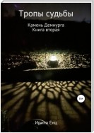 Тропы судьбы. Камень Демиурга. Книга вторая