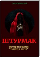 Штурмак. История вторая. Пламя в ночи.