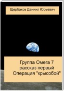 Группа Омега 7. Рассказ первый. Операция «Крысобой»