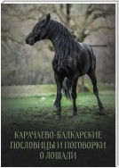 Карачаево-Балкарские пословицы и поговорки о лошади