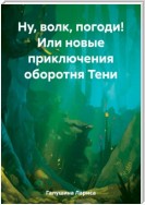 Ну, волк, погоди! Или новые приключения оборотня Тени