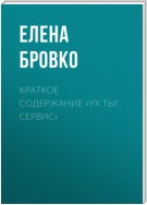 Краткое содержание «Ух ты! Сервис»