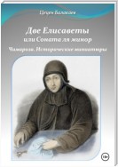 Две Елисаветы, или Соната ля минор. Судьба твоя решится при Бородине. Две исторические пьесы