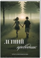 Летний проводник