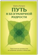 Путь к безграничной мудрости. Практическое руководство по освоению джханы и випассаны