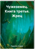 Чужеземец. Книга третья. Жрец