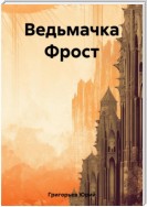 Миры Артёма Каменистого. Ведьмачка Фрост